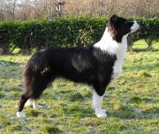 Buffy at 12 months
