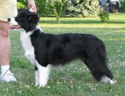 Buffy at 7 months