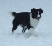 Cody moving at 5 months