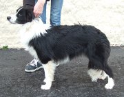 Cody stand at 9 months