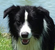 Cody's head at 11 months
