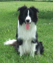 Cody sitting at 9 months