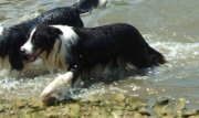 Cody swimming at 11 months