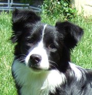 Eo's head at 8 months