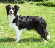 Eowyn standing at 20 months