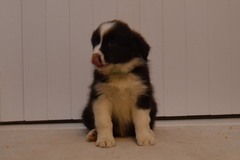 Boy 1