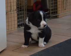 Boy 3
